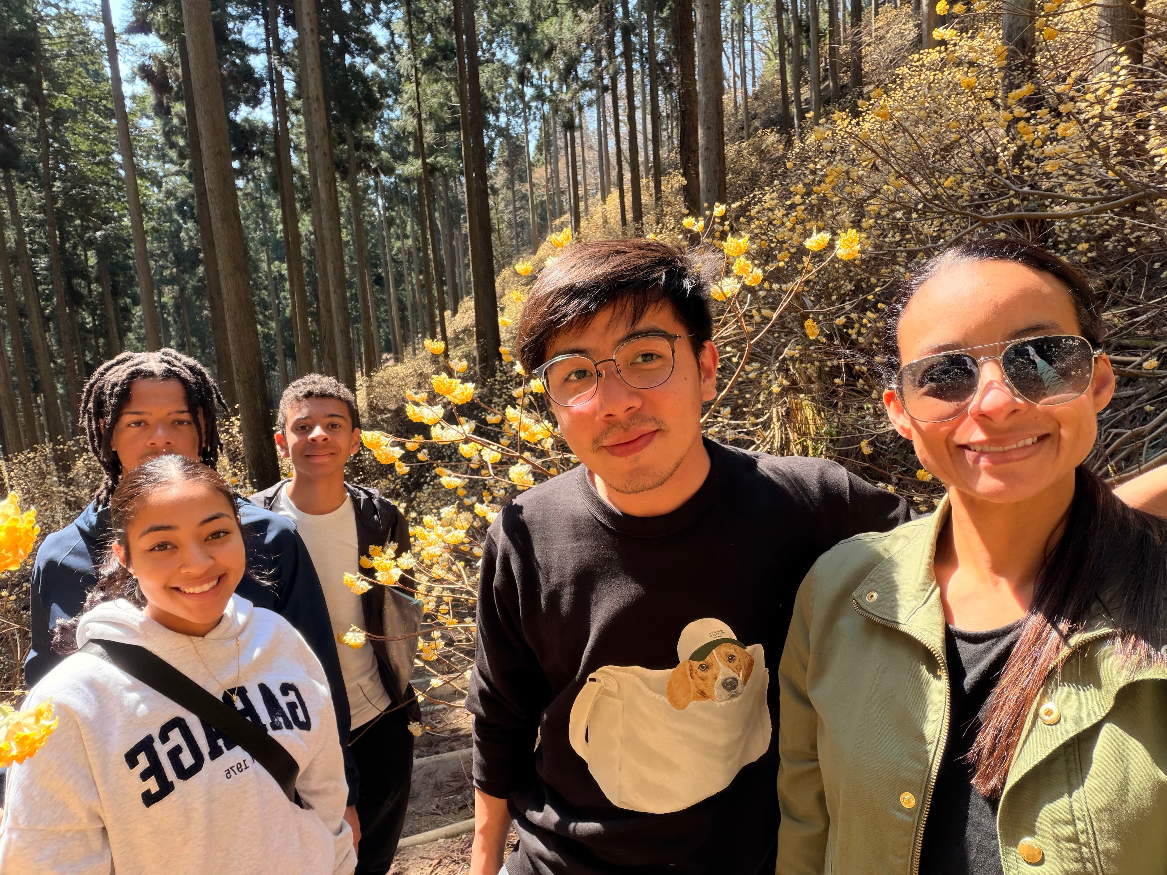 Travelers among cedar trees and yellow blossoms near Kayabuki no Sato