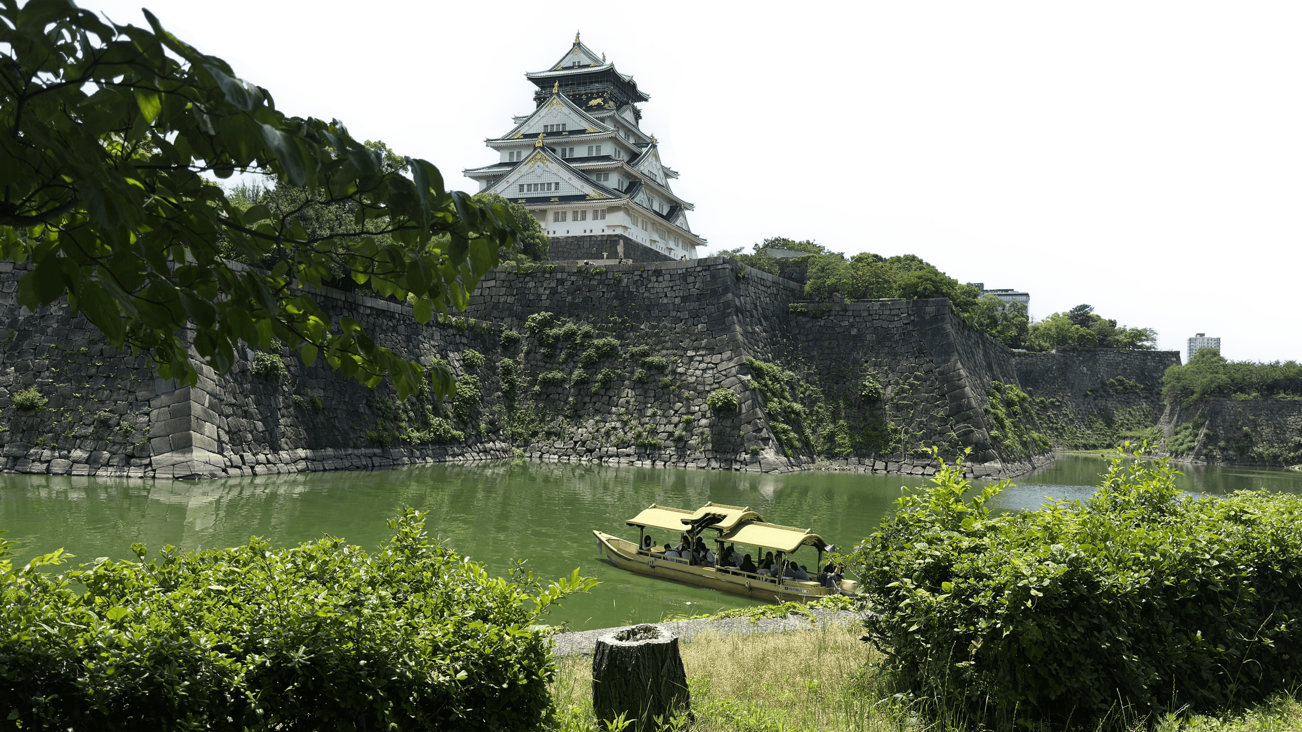 Osaka Castle surrounded by greenery