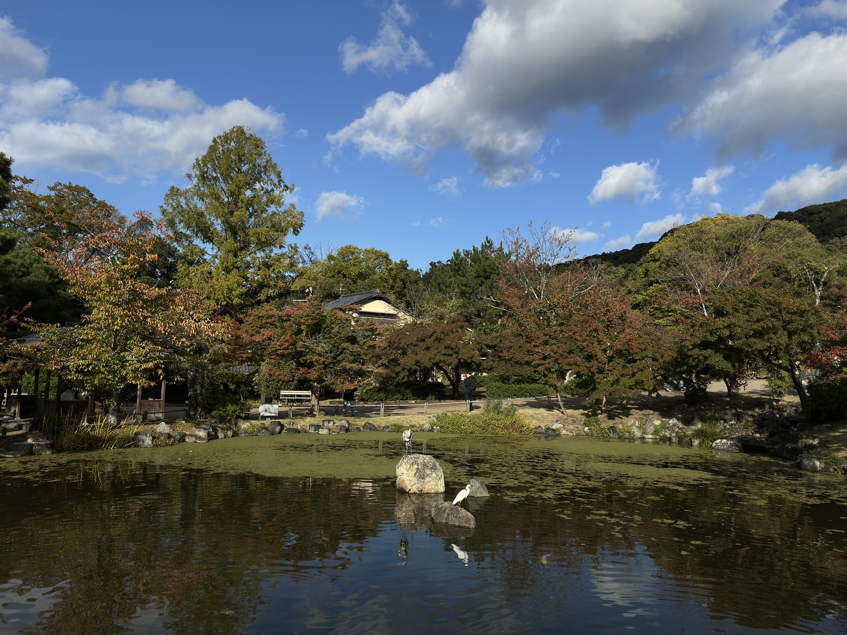 Japan Hidden Gem Tour